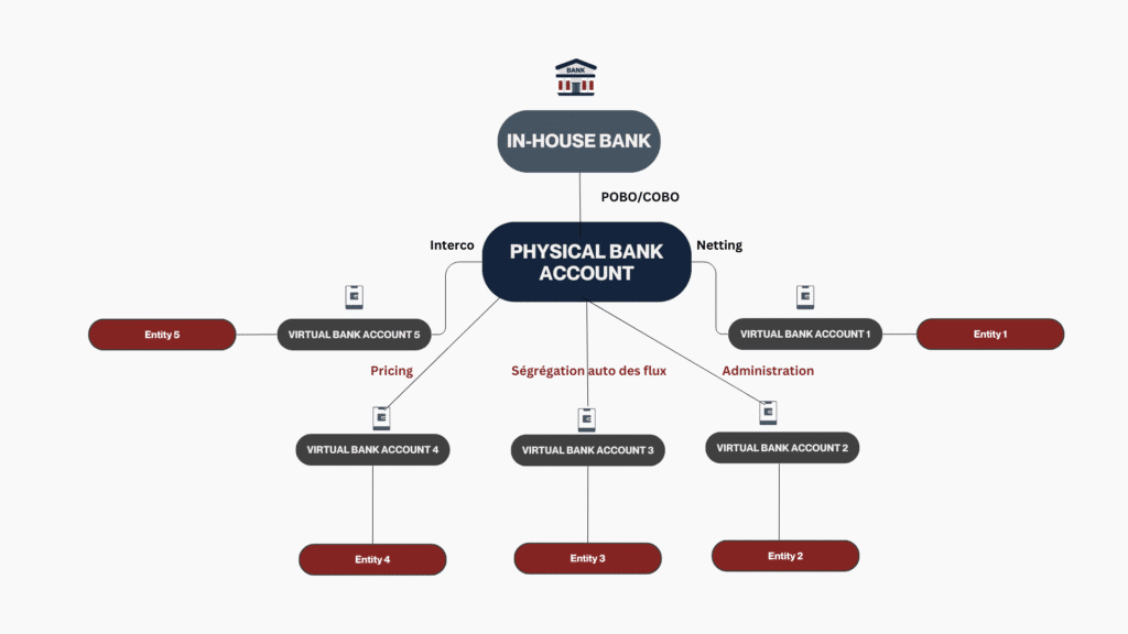 in-house-bank-virtual-accounts-schema